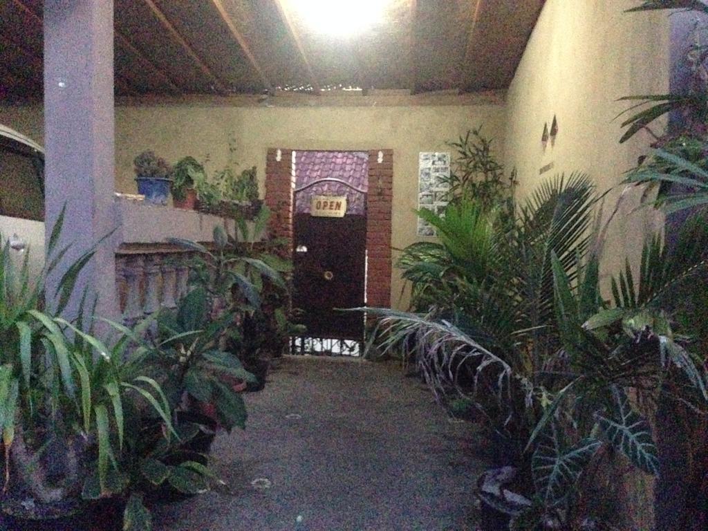 מלון אובוד Pancer House מראה חיצוני תמונה